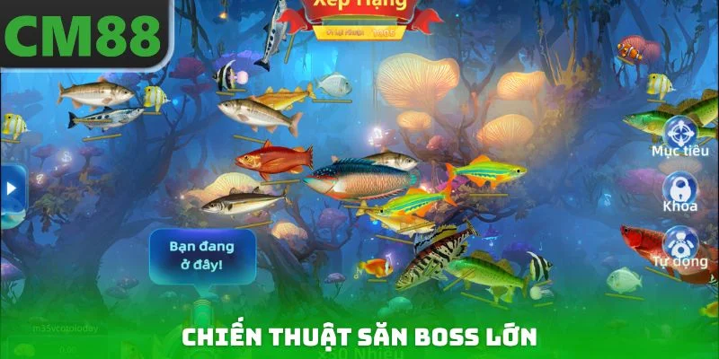 Chiến thuật săn boss lớn